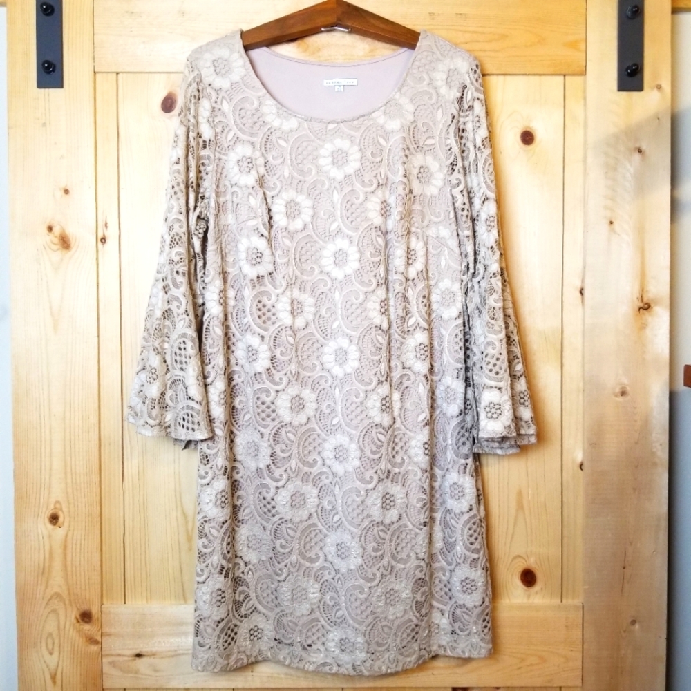 Amanda Lane Beige Lace Lined Trumpet Slit Sleeve Shift Dress